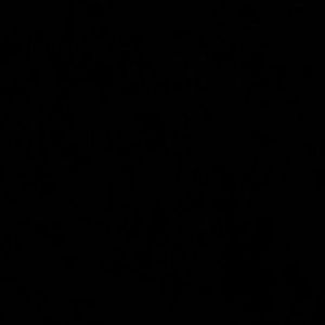 Meet your Posher, Stella